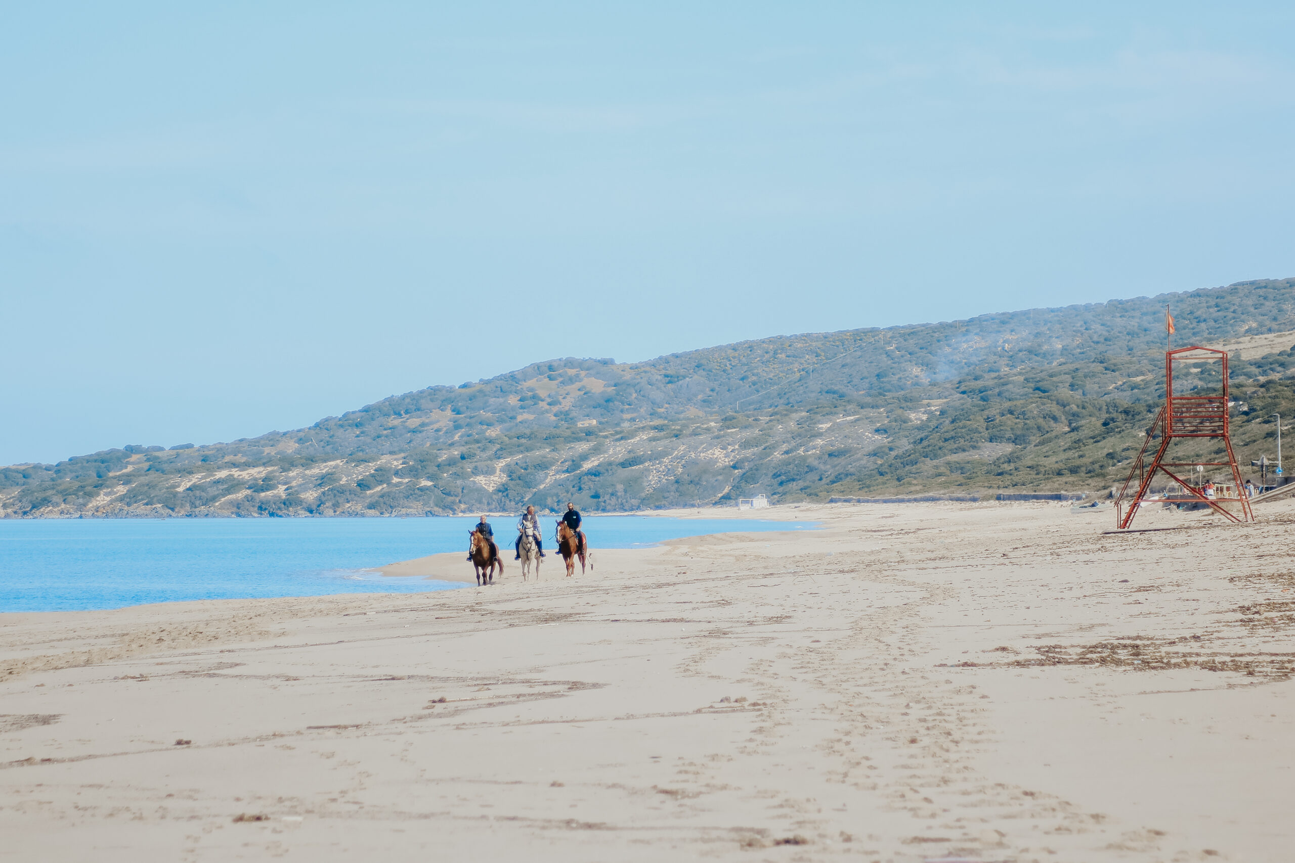 SPIAGGE
