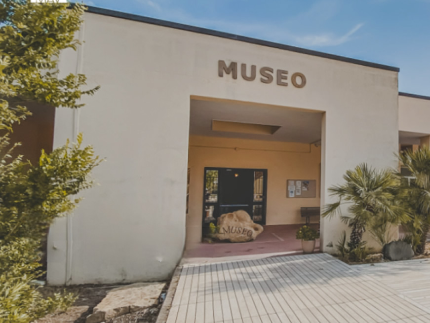 museo-01