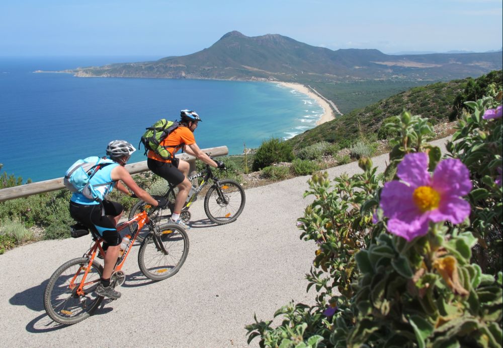 BICI 3