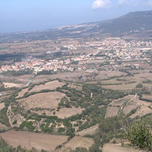 viddalba
